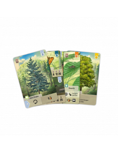 Forest Shuffle  - El bosque está lleno de vida: los animales corretean por los claros buscando plantas e insectos con los que al 2