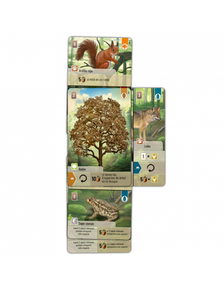 Forest Shuffle  - El bosque está lleno de vida: los animales corretean por los claros buscando plantas e insectos con los que al