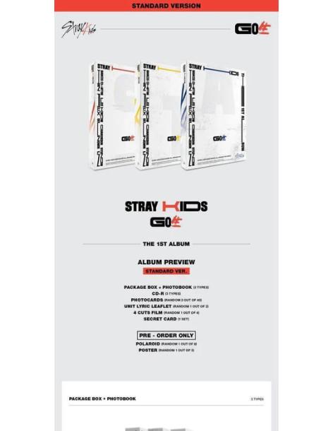 STRAY KIDS - GO: 生 (Standard Edition)  - 
Contenido:
- Fotolibro (distinto en cada versión)
- CD-R (distinto en cada versión)
-  2
