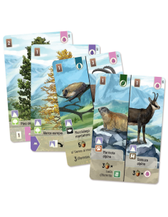 copy of Forest Shuffle  - El bosque está lleno de vida: los animales corretean por los claros buscando plantas e insectos con lo 2