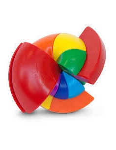 Rainbow Nautilus  -  2