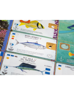 Finspan  - Eres un investigador marino cuyo propósito es encontrar y observar la variedad de vida acuática en la colorida zona f 2