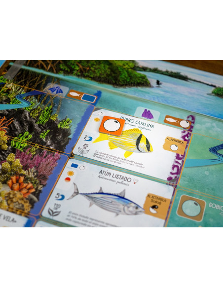 Finspan  - Eres un investigador marino cuyo propósito es encontrar y observar la variedad de vida acuática en la colorida zona f