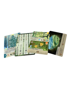 Forest Shuffle Exploration. Expansion (Spanish)  - A world of possibilities awaits you!
Embark on a forest expedition and explor 2