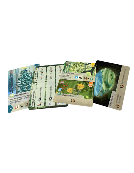 Forest Shuffle Exploration. Expansion (Spanish)  - A world of possibilities awaits you!
Embark on a forest expedition and explor