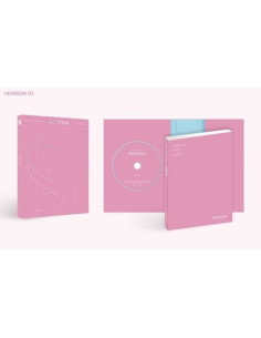 copy of BTS - V - Layover (1st Solo Album)  - Libro fotográfico A (124 páginas)Fotolibro B de 20 páginasLibro de letras (12 pági 2