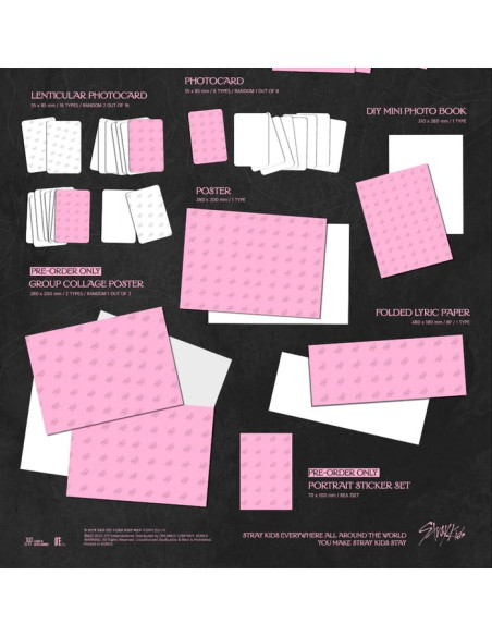 PRE-ORDER Stray Kids SKZ IT TAPE [DO IT] It Ver.  - 




This is a pre-order item. Shipping will take place in late December/ear