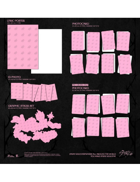 PRE-ORDER Stray Kids SKZ IT TAPE [DO IT] Accordion Ver.  - 

Este es un artículo en preventa. El envío se realizará a finales de