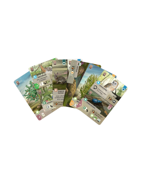 Forest Shuffle Dartmoor  - 